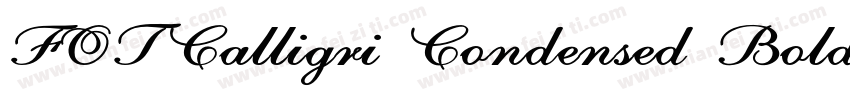 FOTCalligri Condensed Bold ItalicVe字体转换
